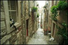 Dubrovnik-1993 Synagogue-and-Jewish-street